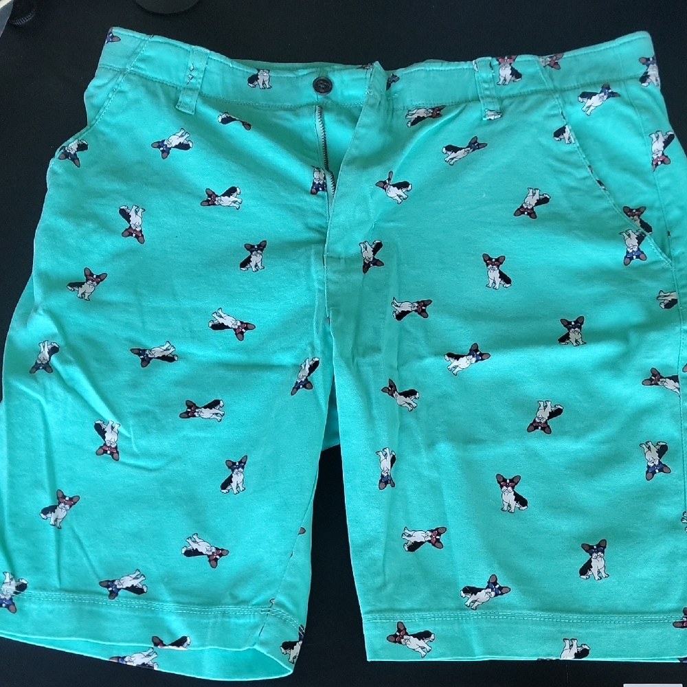 Men's Teal Dog Print Shorts Frenchie Boston Terrier